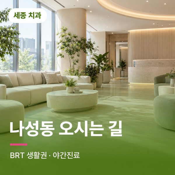 나성동 오시는 길